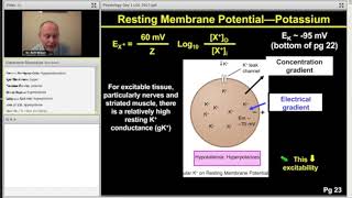 Membrane Potential  Step 1 Physiology [upl. by Gregg]