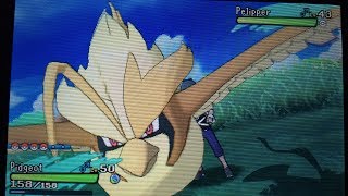 MM Shiny Pidgey in 4 Eggs  Mega Pidgeot Evolution Pokemon Sun [upl. by Andreas]