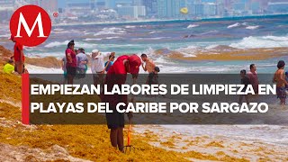 Sargazo llega antes de lo esperado a las playas del Caribe mexicano [upl. by Aniryt]