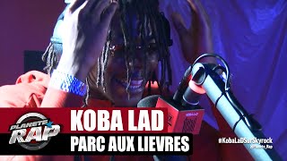 Exclu Koba LaD quotParc aux lièvresquot PlanèteRap [upl. by Sirtaeb]