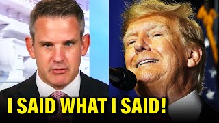 FED UP Adam Kinzinger UNLEASHES on Trump Threat [upl. by Helsell335]