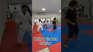 White belts heian shodan training kata  bunkai [upl. by Rehttam]