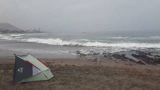 A vida no litoral norte do Oceano Pacifico em Chile Жизнь на побережье Тихого океана в Чили [upl. by Kryska]