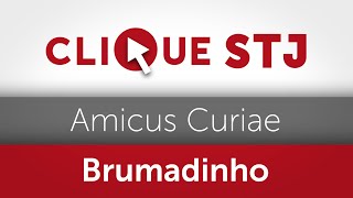 Aberto prazo para amicus curiae em IAC sobre termo de compromisso da tragédia de Brumadinho [upl. by Sergius425]