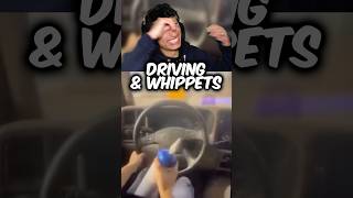 Put the Whippets DOWN Folks 🤦🏽‍♂️😂 [upl. by Latrell]