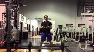 SquatStance Deadlift Tutorial with Dr Seedman [upl. by Dnalhsa88]