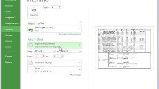 14 Imprimer un document ms project [upl. by Aggri135]