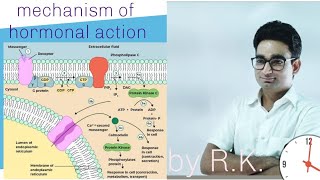 Mechanism of hormonal action  NCERT Based for NEET students [upl. by Sperry]