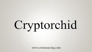 How To Say Cryptorchid [upl. by Maguire467]