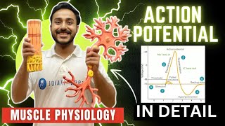 action potential physiology in hindi  ionic basis of action potential in skeletal muscle physiology [upl. by Imat]