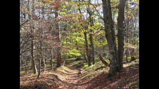 Auf zur Wanderung  los geht´s [upl. by Havener502]