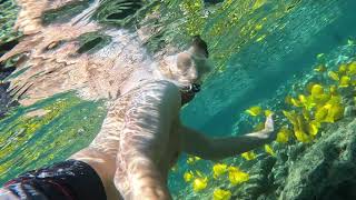 Snorkeling at Captain Cook Monument [upl. by Chaing]