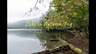 가을 안개호수 Lake in Autumn Fog [upl. by Adnyc]