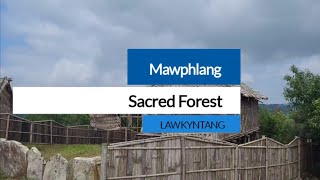 Mawphlang Sacred forest LAWKYNTANG [upl. by Croix]