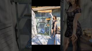 Catio build pt 1 🐈‍⬛💕 diy project diyproject youtubeshorts shorts cat catlover catvideos [upl. by Holna]