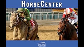 Belmont Stakes 2022 Top Picks amp Plays  HorseCenter [upl. by Juni]