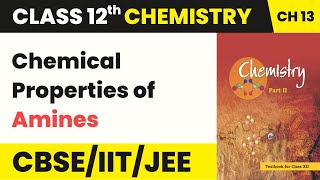 Chemical Properties of Amines  Class 12 Chemistry Chapter 13 [upl. by Dwane688]