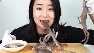 혐오주의 산낙지 통채로 먹방 mukbang [upl. by Eintruok]