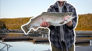 Catching Monster GREAT LAKES Rainbow TroutDock Fishing [upl. by Berk849]