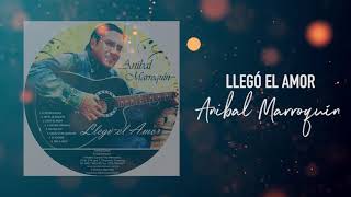 LLEGÓ EL AMOR  ÁLBUM COMPLETO  Anibal Marroquín [upl. by Nnahtebazile]