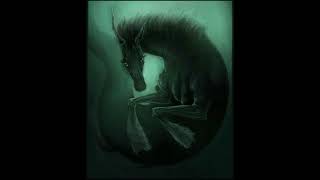 kelpie horse Slidesow [upl. by Alveta]