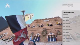 ASSEGNAZIONE DEI CAVALLI ALLE CONTRADE  PALIO DI SIENA AGOSTO 2024 [upl. by Okoy]