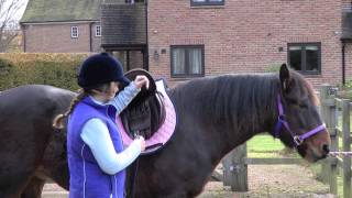 How to saddle your horse  PONY Magazine [upl. by Euqinobe221]