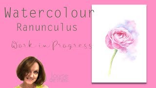 Watercolour Ranunculus Work in Progress Time Lapse [upl. by Zsa347]