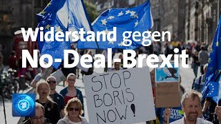 ParlamentsZwangspause Widerstand gegen NoDealBrexit wächst [upl. by Oilicec441]