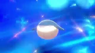 Pokemon Sword And Shield Wailmer Evolves To Wailord [upl. by Coleville824]