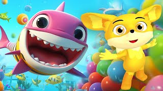 Baby Shark  English Songs for Kids  Cocomelon [upl. by Portwine]