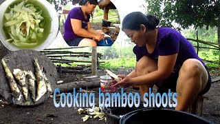 Cooking bamboo shoot  Noj ntsuag xyoob hau  Hmong build a new life [upl. by Amaty]