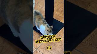 Cómo hacer un rascador de gato tapicero diy tapiceria gatos rascadoresparagatos diyprojects [upl. by Sontag]