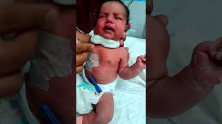 Baby feeding time 🥹 babycare newborn babygirl feed feeding shorts yt short mother baby [upl. by Nemra]