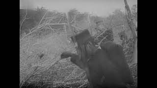 Unidentified film about Russo Japanese War 19041905 Japanese Advancing through Brush [upl. by Ahsieni]