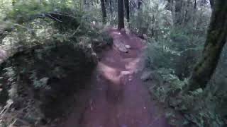 MTB Ajusco pistas altas La Nueva Mountain Bike Parque Ejidal San Nicolas Totolapan CDMX Enduro [upl. by Hardden611]