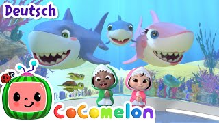 Babyhai  CoComelon Deutsch  Cartoons und Kinderlieder [upl. by Levison6]