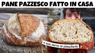 LA RICETTA DEL PANE FATTO IN CASA PIÙ BUONO E COMODO DA REALIZZARE – è facile e pieno di bolle  DZ [upl. by Sirkin132]