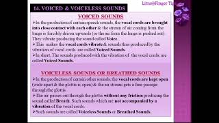 Organs of Speech RespiratoryPhonatoryArticulatory Voiced amp VoicelessOralNasalNasalized Sounds [upl. by Ackler]