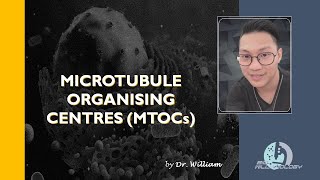 Microtubule Organising Centres MTOCs by Dr William [upl. by Atinid656]