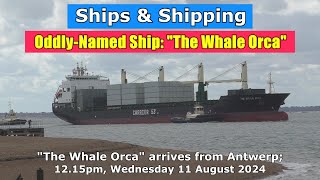 quotThe Whale Orcaquot arrives at Felixstowe Wednesday 11 September 2024 [upl. by Harrus823]