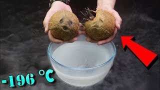 Can a coconut crack if I put in liquid nitrogen [upl. by Xaviera]