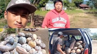 pumkin delivery tsongphong village to kiphire town Denny Vlogs [upl. by Atiniuq]