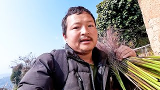 i am visiting my village house  parents house   taking village broom  visited village shop [upl. by Sherye535]