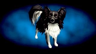 Torchlight II Papillon Pet Reveal [upl. by Jael]