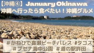 【沖縄④】沖縄に行ったら食べてみたい！グルメ6選！かねひで喜瀬ビーチパレス泊＆ブセナ＆許田＆タコスメキシコ [upl. by Akemet114]