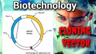 biotechnology cloning vector [upl. by Ettenim]