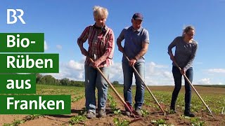 Zuckerrüben aus biologischer Landwirtschaft Unkrautbekämpfung mit Farmroboter  Unser Land  BR [upl. by Ocisnarf259]