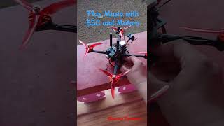 Play Music with ESC and Motors  BLHeliS Custom Startup Tones  Blue Jay Firmware [upl. by Riada]