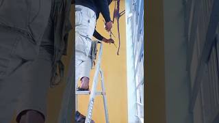 wall painting 🎨🖌️ sorts videos [upl. by Anisamoht]